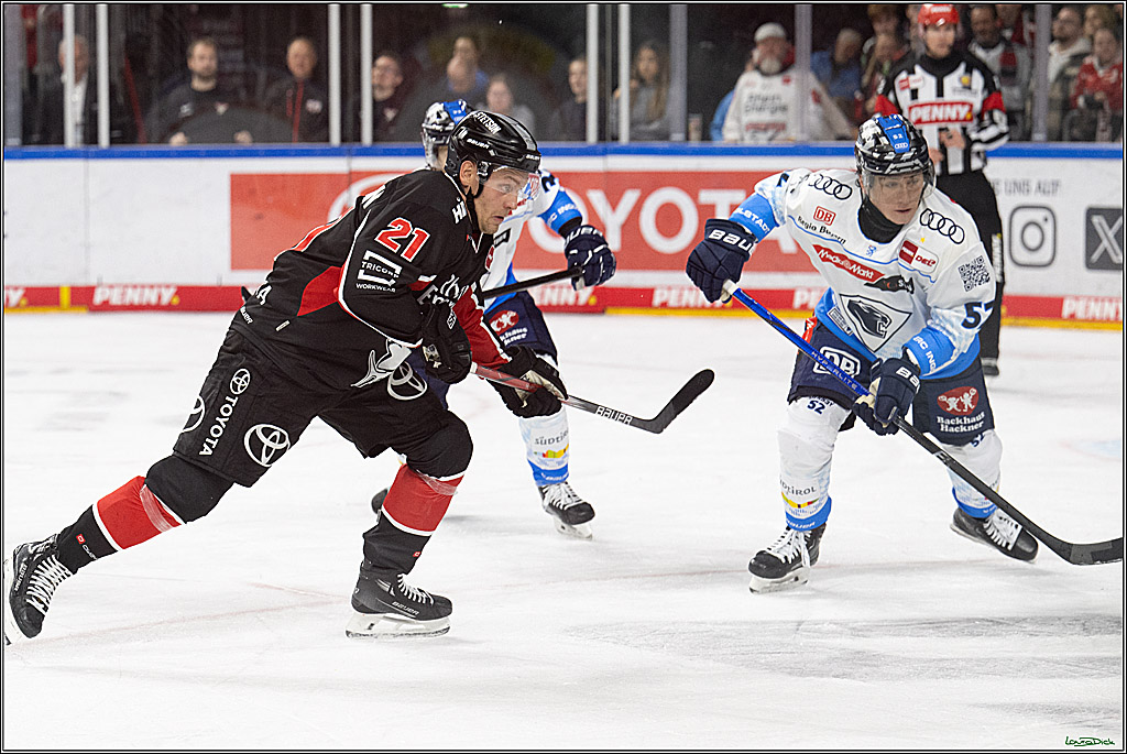 PENNY DEL; Koelner Haie-ERC Ingolstadt; Koeln, 22.11.2024