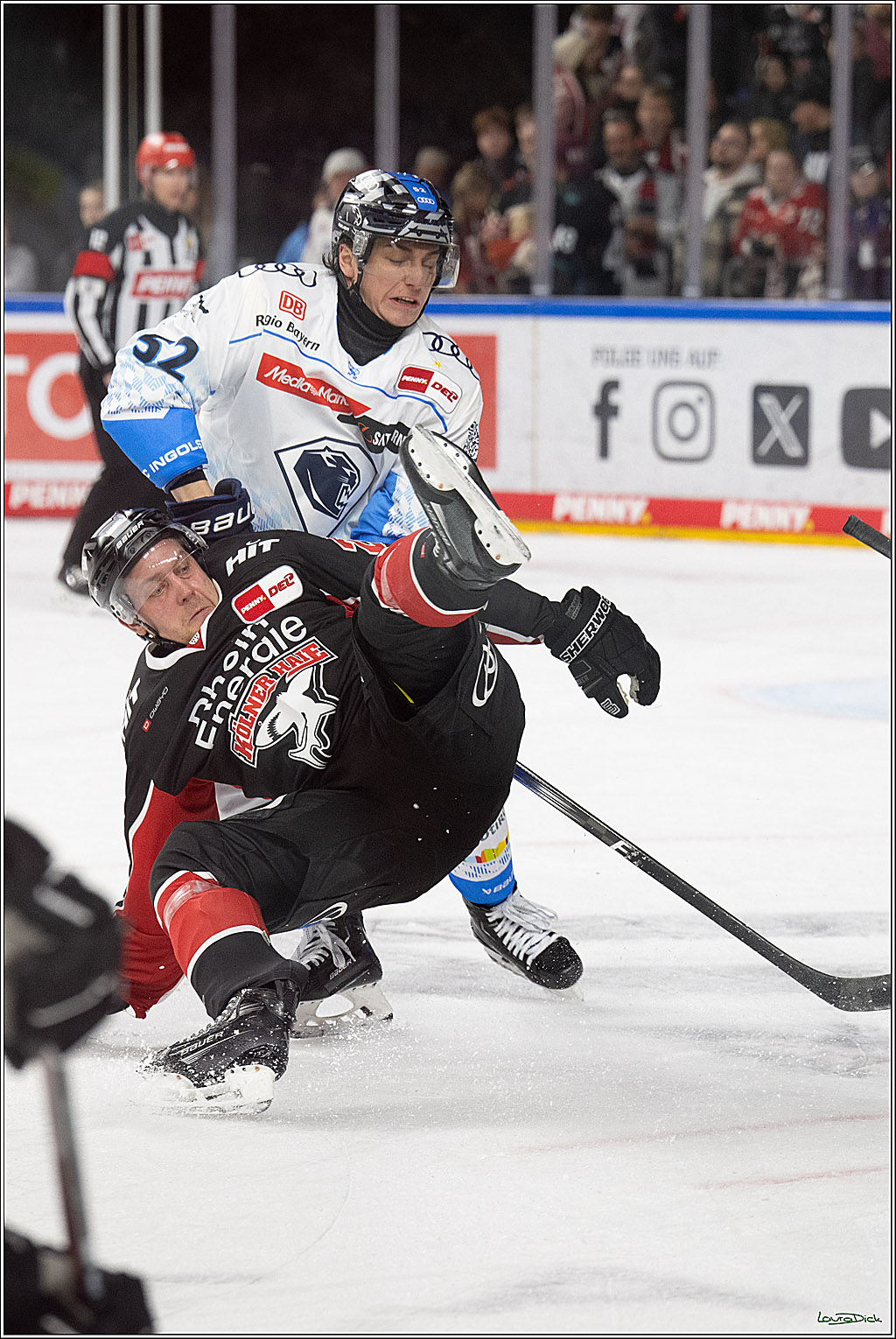 PENNY DEL; Koelner Haie-ERC Ingolstadt; Koeln, 22.11.2024