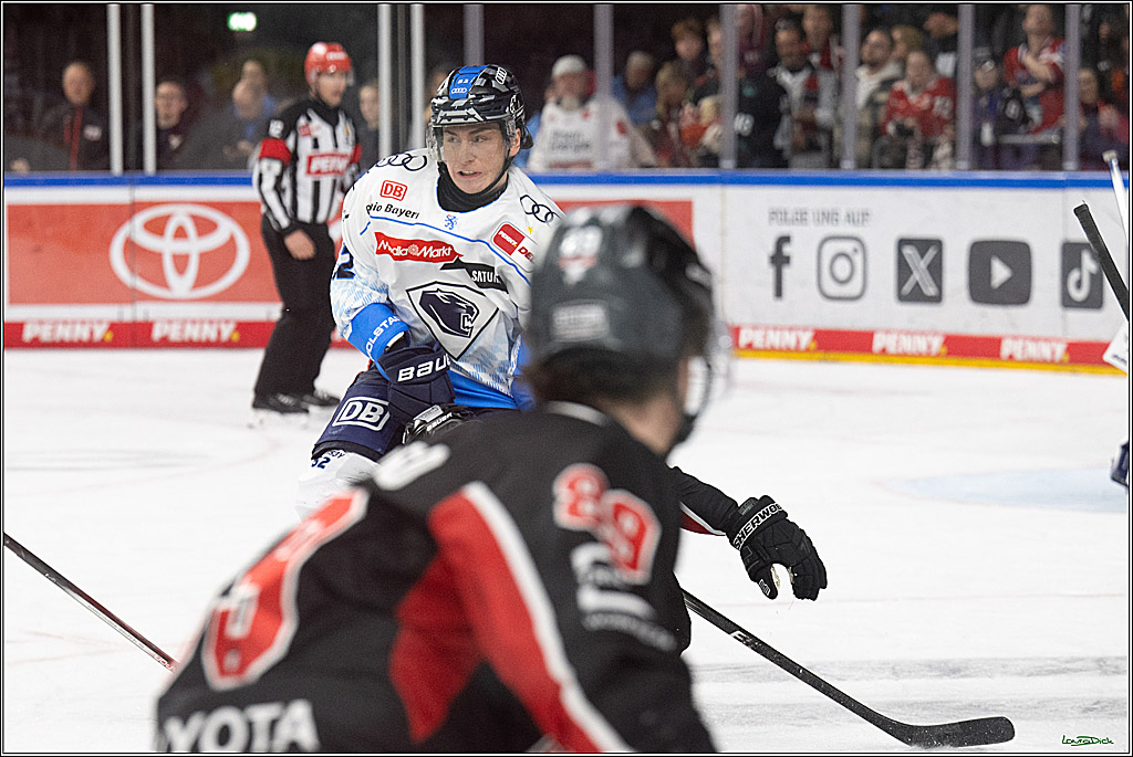 PENNY DEL; Koelner Haie-ERC Ingolstadt; Koeln, 22.11.2024