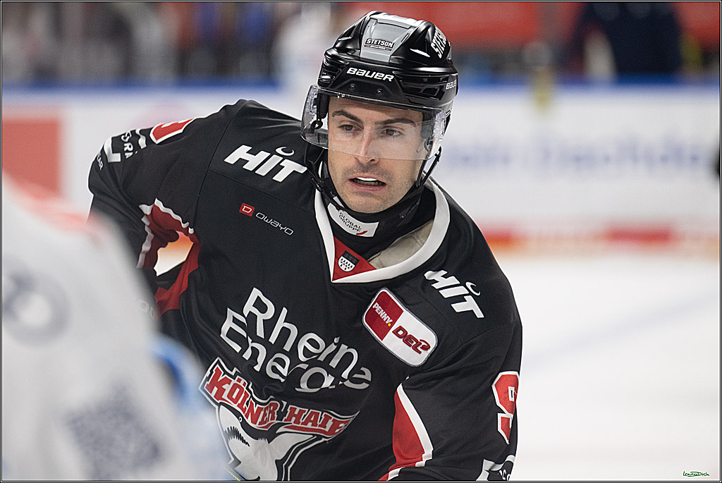 PENNY DEL; Koelner Haie-ERC Ingolstadt; Koeln, 22.11.2024