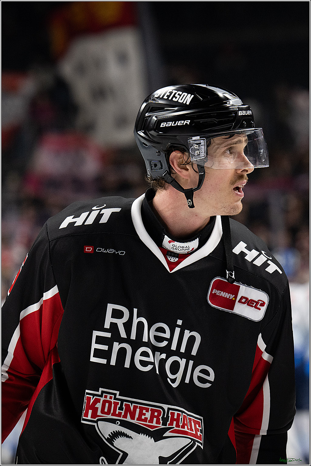 PENNY DEL; Koelner Haie-ERC Ingolstadt; Koeln, 22.11.2024