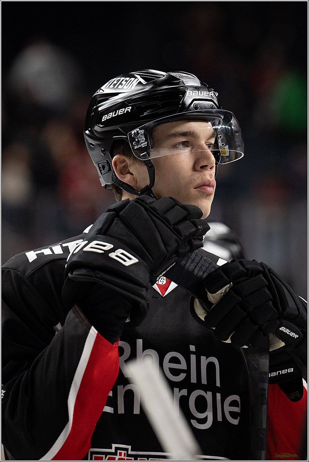 PENNY DEL; Koelner Haie-ERC Ingolstadt; Koeln, 22.11.2024