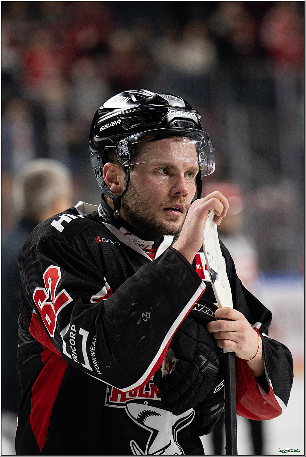 PENNY DEL; Koelner Haie-ERC Ingolstadt; Koeln, 22.11.2024