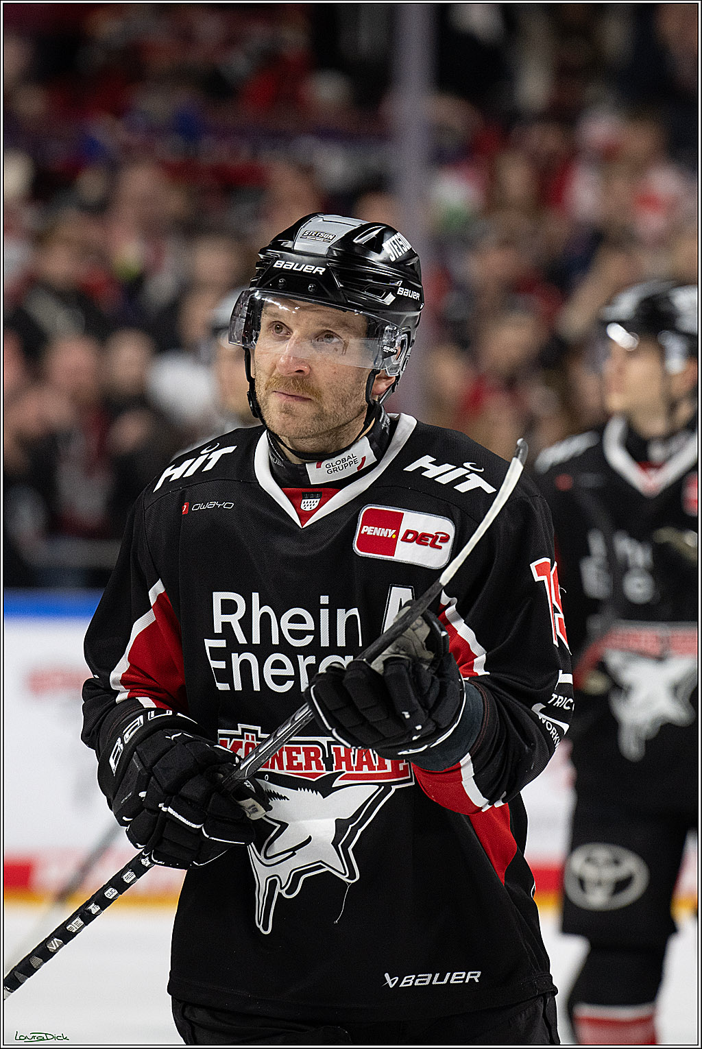 PENNY DEL; Koelner Haie-ERC Ingolstadt; Koeln, 22.11.2024