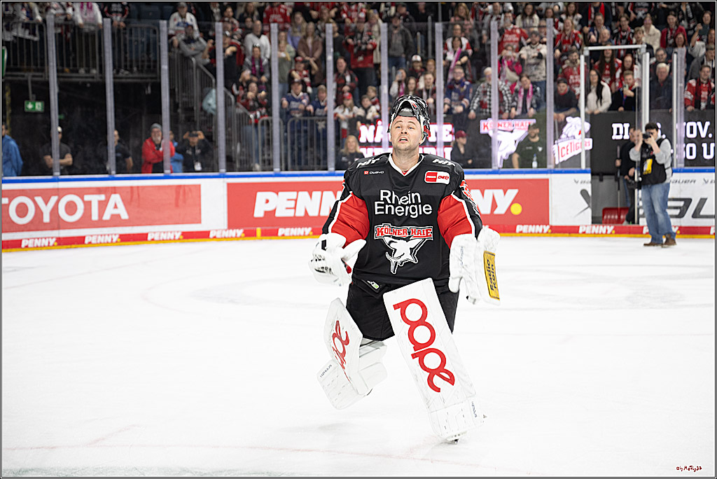 PENNY DEL 1; Kölner Haie - Düsseldorfer EG ; Köln, 24.11.2024