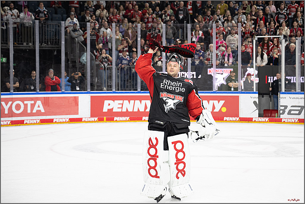 PENNY DEL 1; Kölner Haie - Düsseldorfer EG ; Köln, 24.11.2024