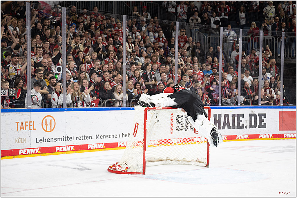 PENNY DEL 1; Kölner Haie - Düsseldorfer EG ; Köln, 24.11.2024