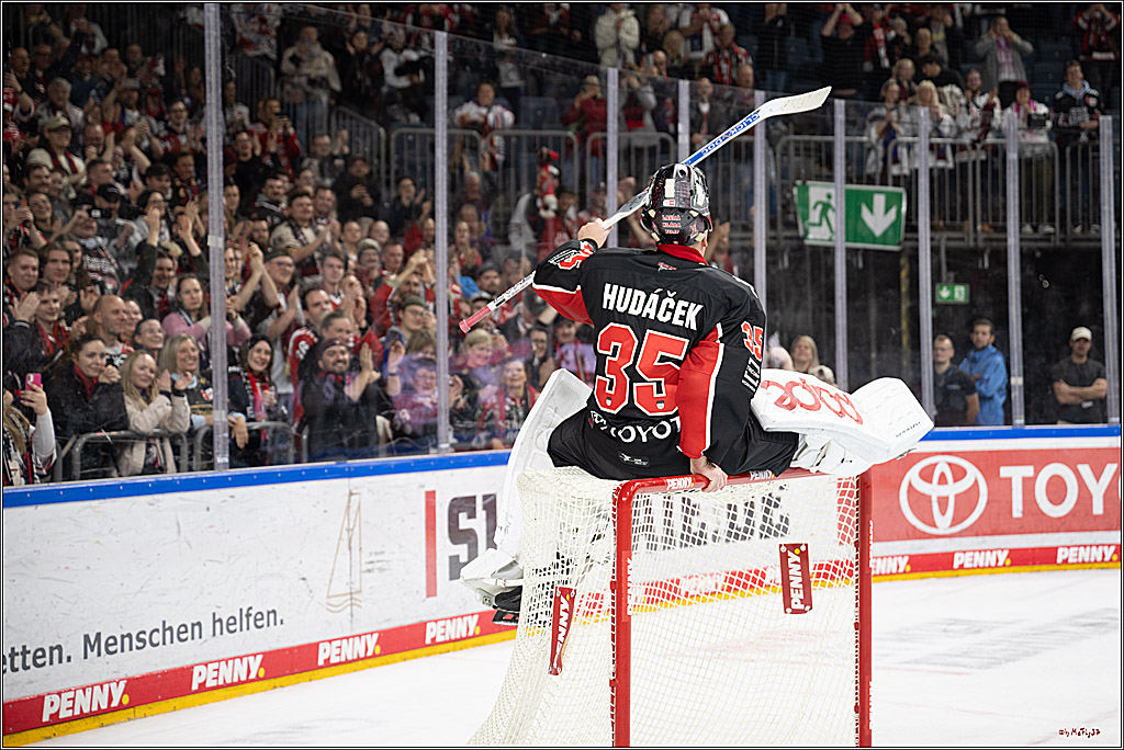 PENNY DEL 1; Kölner Haie - Düsseldorfer EG ; Köln, 24.11.2024