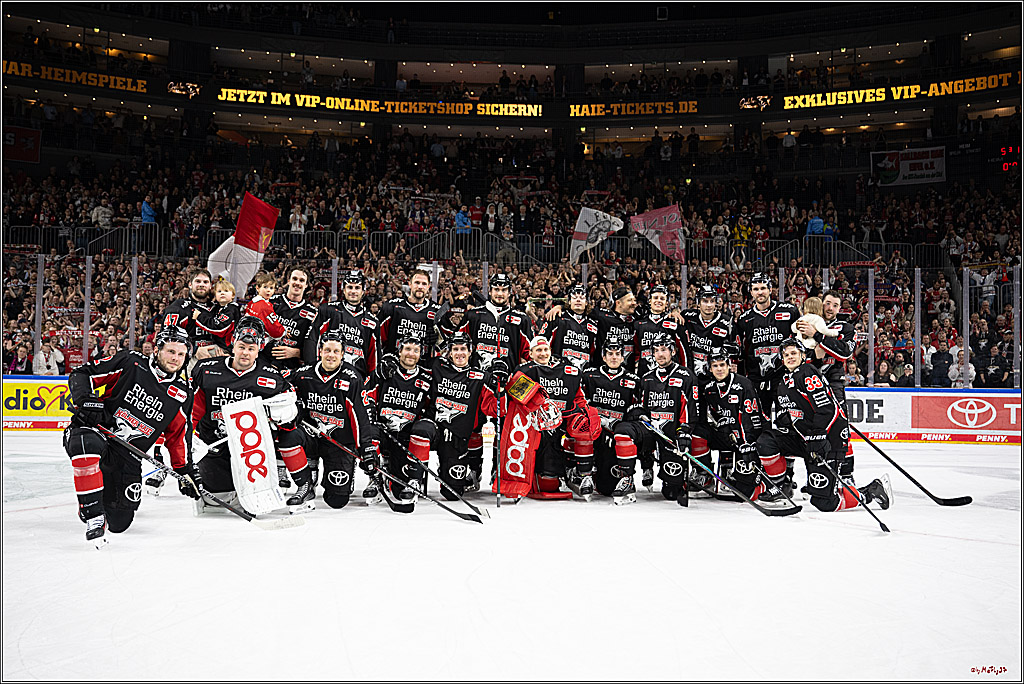 PENNY DEL 1; Kölner Haie - Düsseldorfer EG ; Köln, 24.11.2024