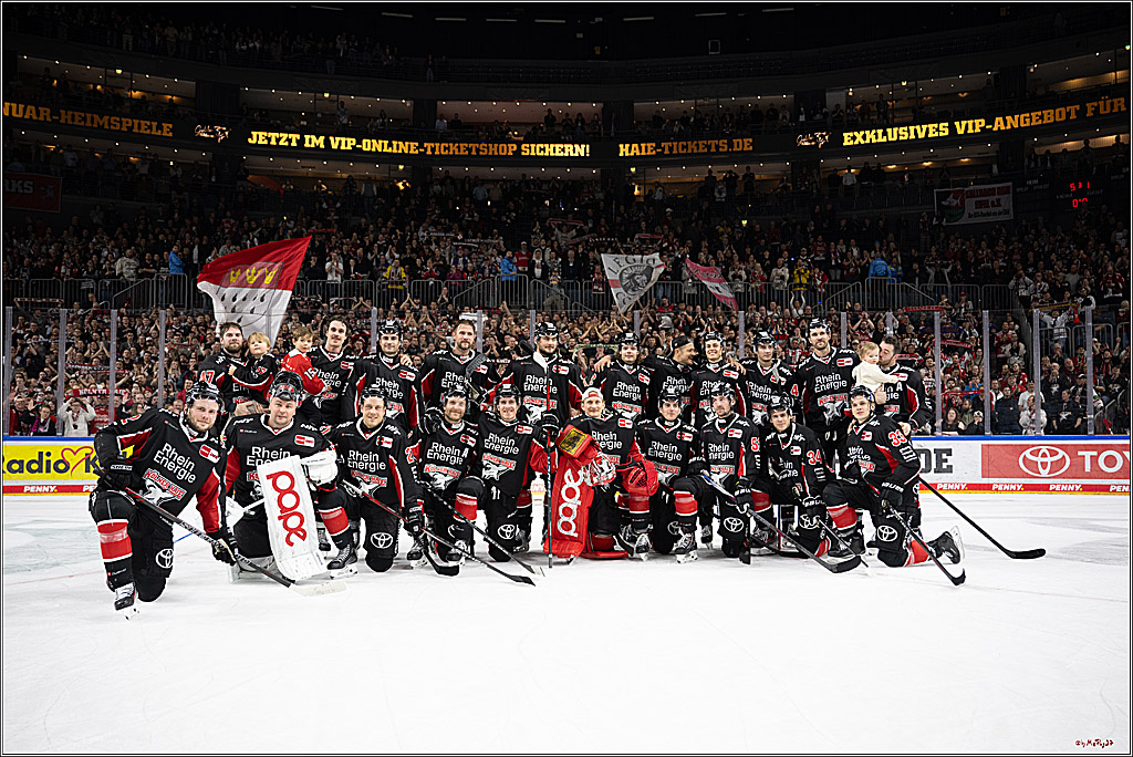PENNY DEL 1; Kölner Haie - Düsseldorfer EG ; Köln, 24.11.2024