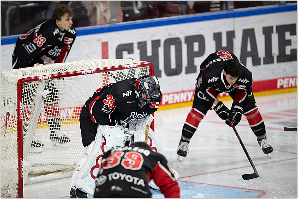 PENNY DEL 1; Kölner Haie - Düsseldorfer EG ; Köln, 24.11.2024