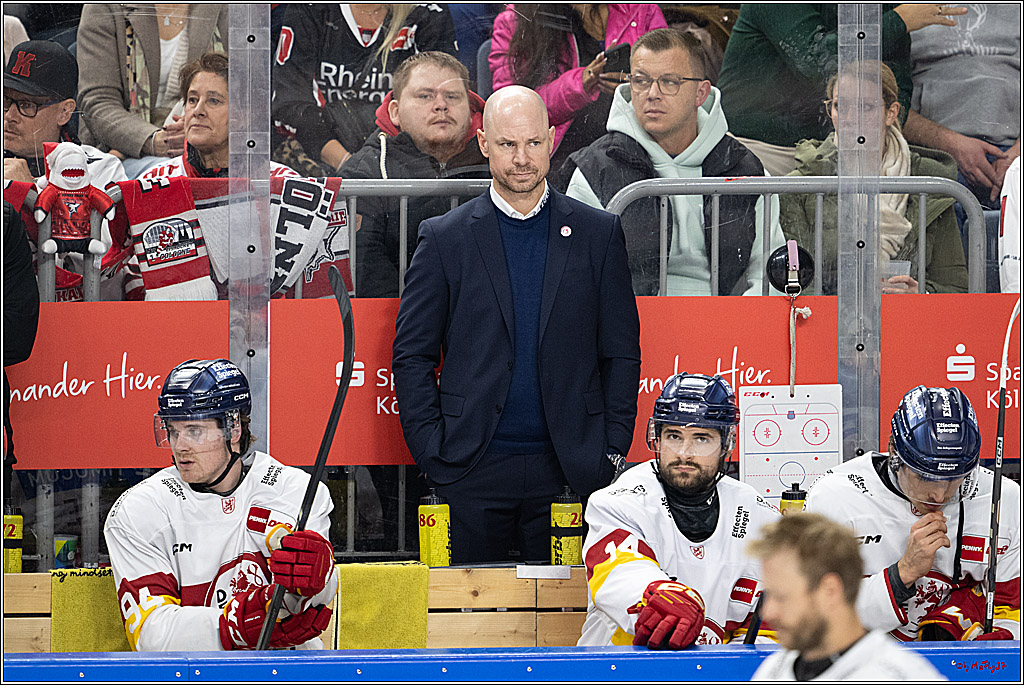 PENNY DEL 1; Kölner Haie - Düsseldorfer EG ; Köln, 24.11.2024