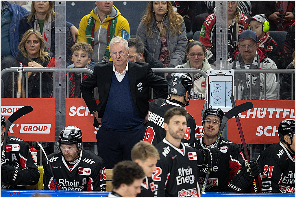 PENNY DEL 1; Kölner Haie - Düsseldorfer EG ; Köln, 24.11.2024