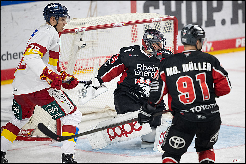 PENNY DEL 1; Kölner Haie - Düsseldorfer EG ; Köln, 24.11.2024