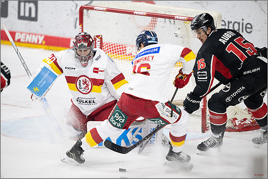 PENNY DEL 1; Kölner Haie - Düsseldorfer EG ; Köln, 24.11.2024