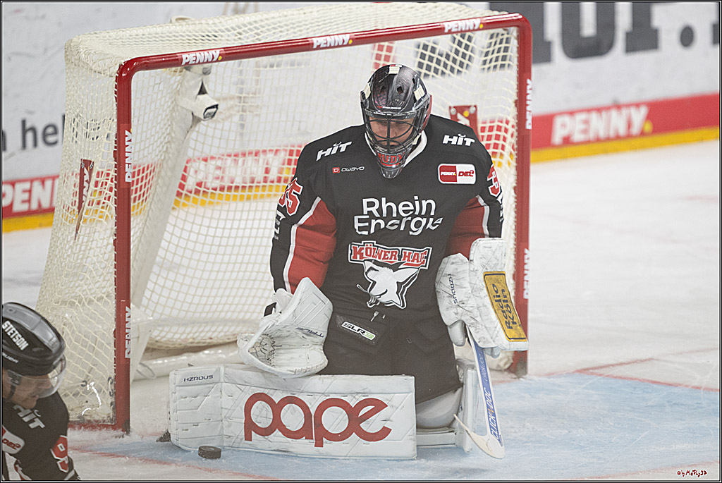 PENNY DEL 1; Kölner Haie - Düsseldorfer EG ; Köln, 24.11.2024