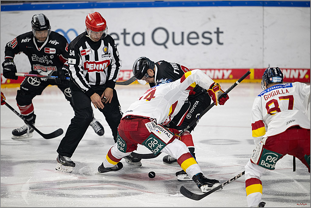 PENNY DEL 1; Kölner Haie - Düsseldorfer EG ; Köln, 24.11.2024
