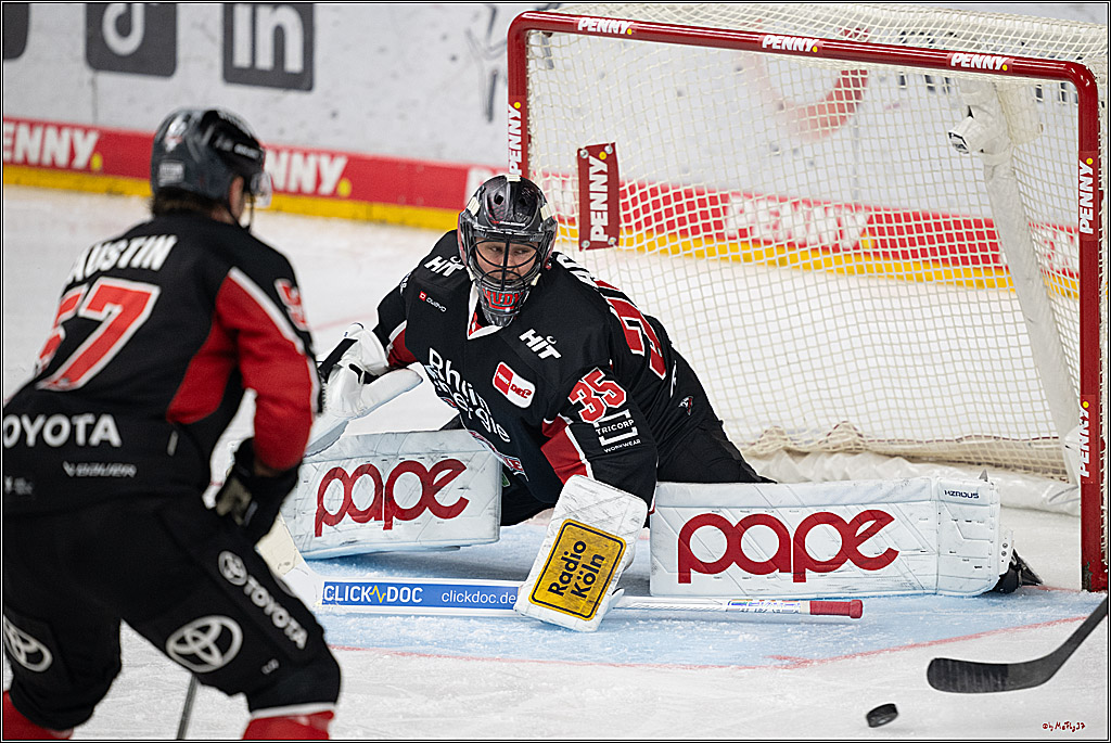 PENNY DEL 1; Kölner Haie - Düsseldorfer EG ; Köln, 24.11.2024