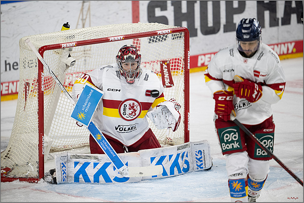 PENNY DEL 1; Kölner Haie - Düsseldorfer EG ; Köln, 24.11.2024