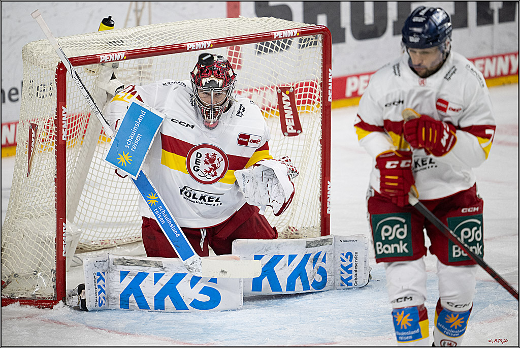 PENNY DEL 1; Kölner Haie - Düsseldorfer EG ; Köln, 24.11.2024