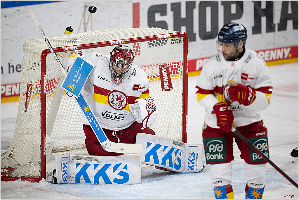PENNY DEL 1; Kölner Haie - Düsseldorfer EG ; Köln, 24.11.2024