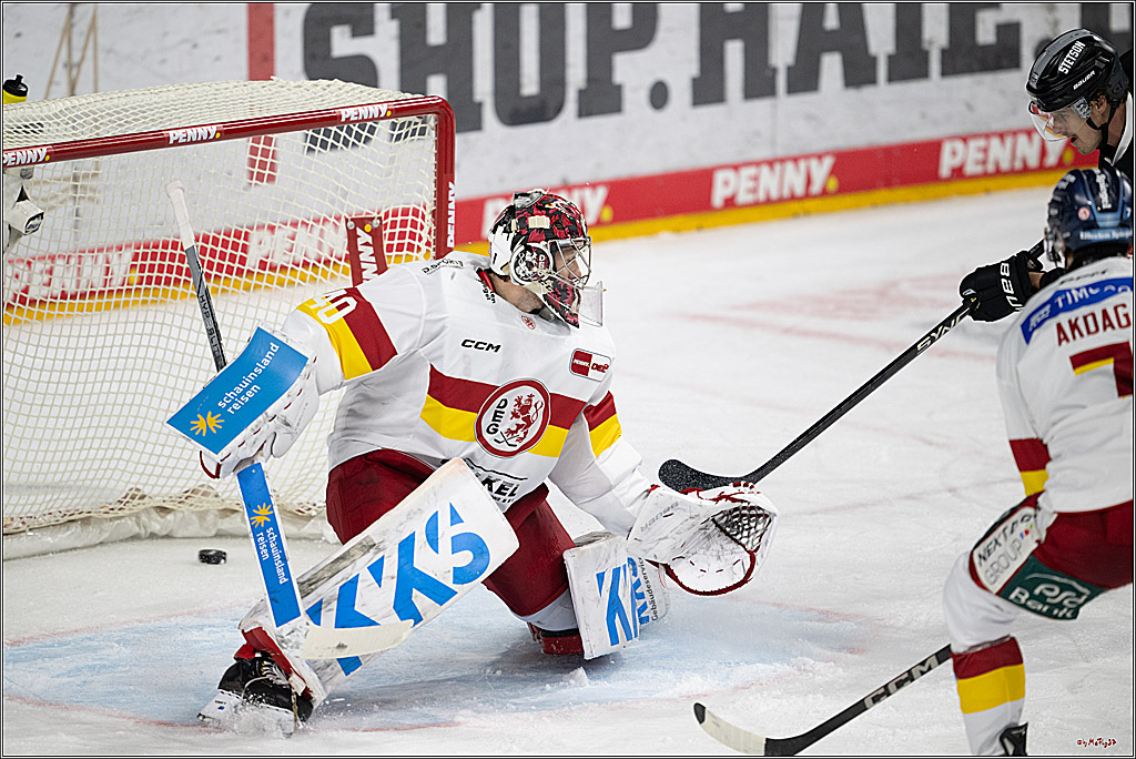 PENNY DEL 1; Kölner Haie - Düsseldorfer EG ; Köln, 24.11.2024