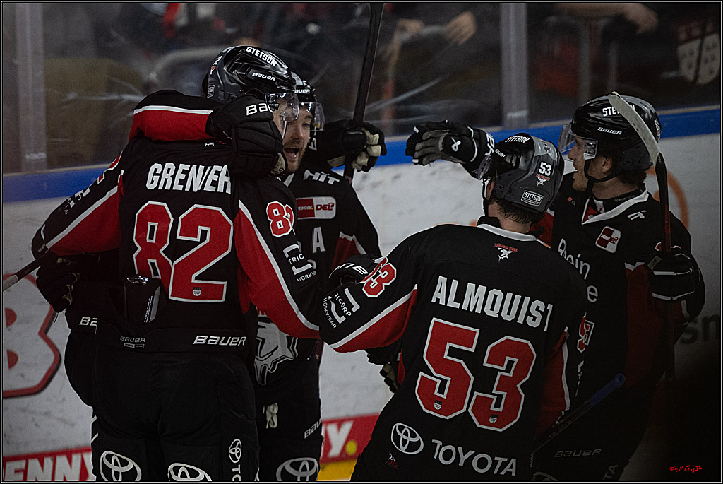 PENNY DEL 1; Kölner Haie - Düsseldorfer EG ; Köln, 24.11.2024