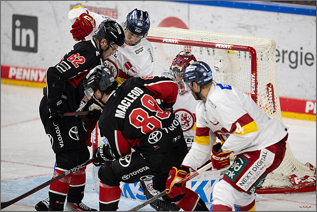 PENNY DEL 1; Kölner Haie - Düsseldorfer EG ; Köln, 24.11.2024