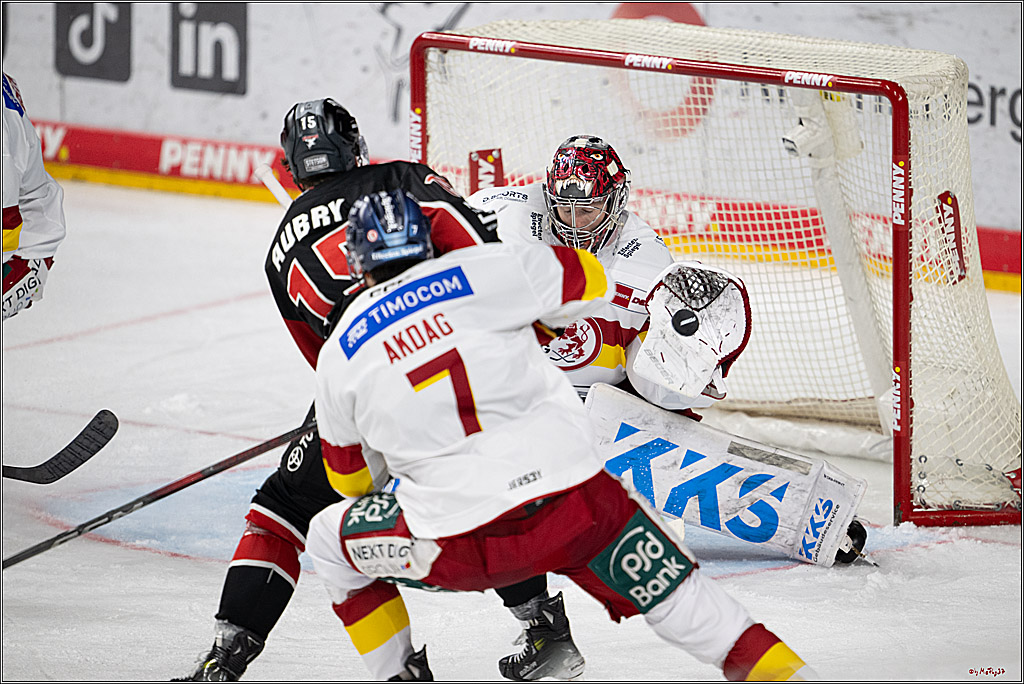 PENNY DEL 1; Kölner Haie - Düsseldorfer EG ; Köln, 24.11.2024