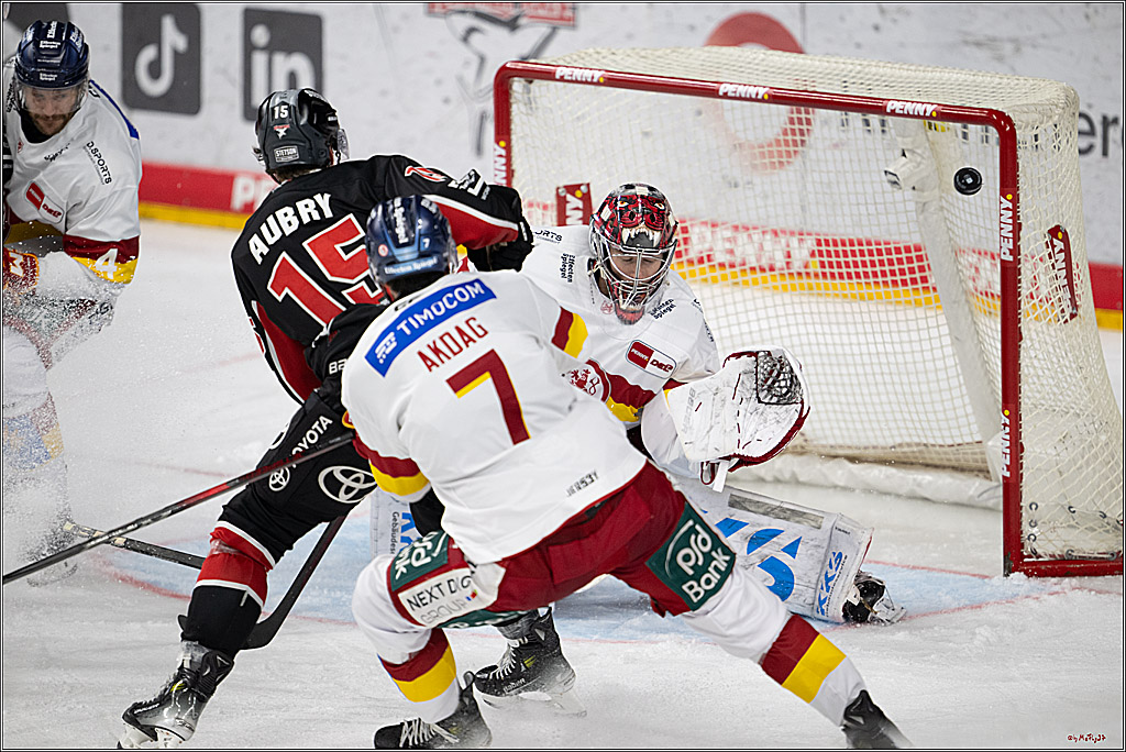 PENNY DEL 1; Kölner Haie - Düsseldorfer EG ; Köln, 24.11.2024