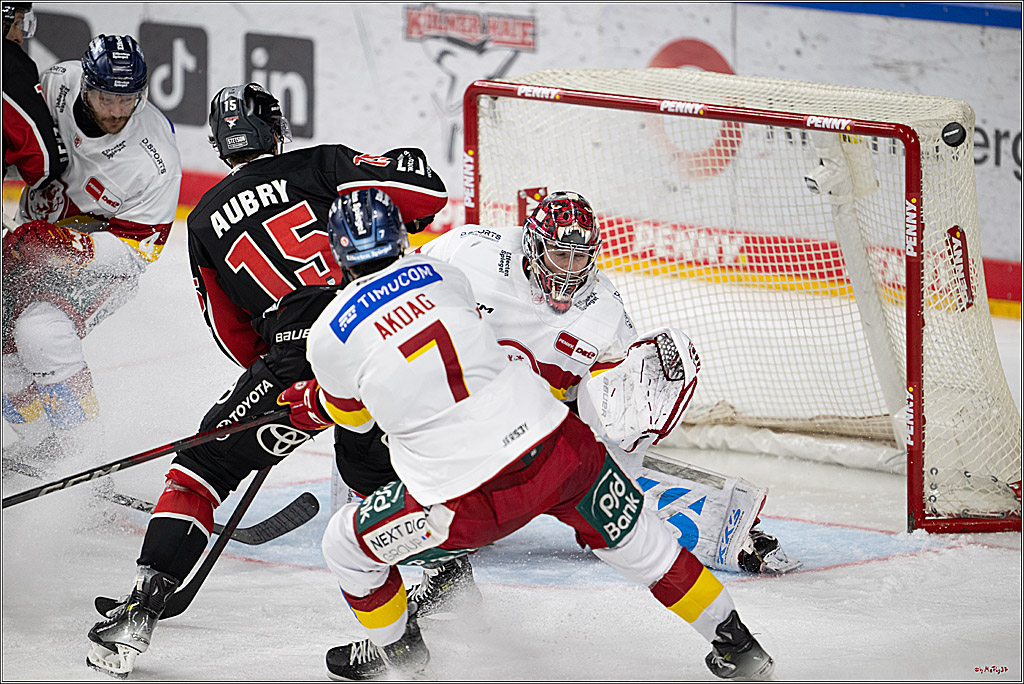 PENNY DEL 1; Kölner Haie - Düsseldorfer EG ; Köln, 24.11.2024