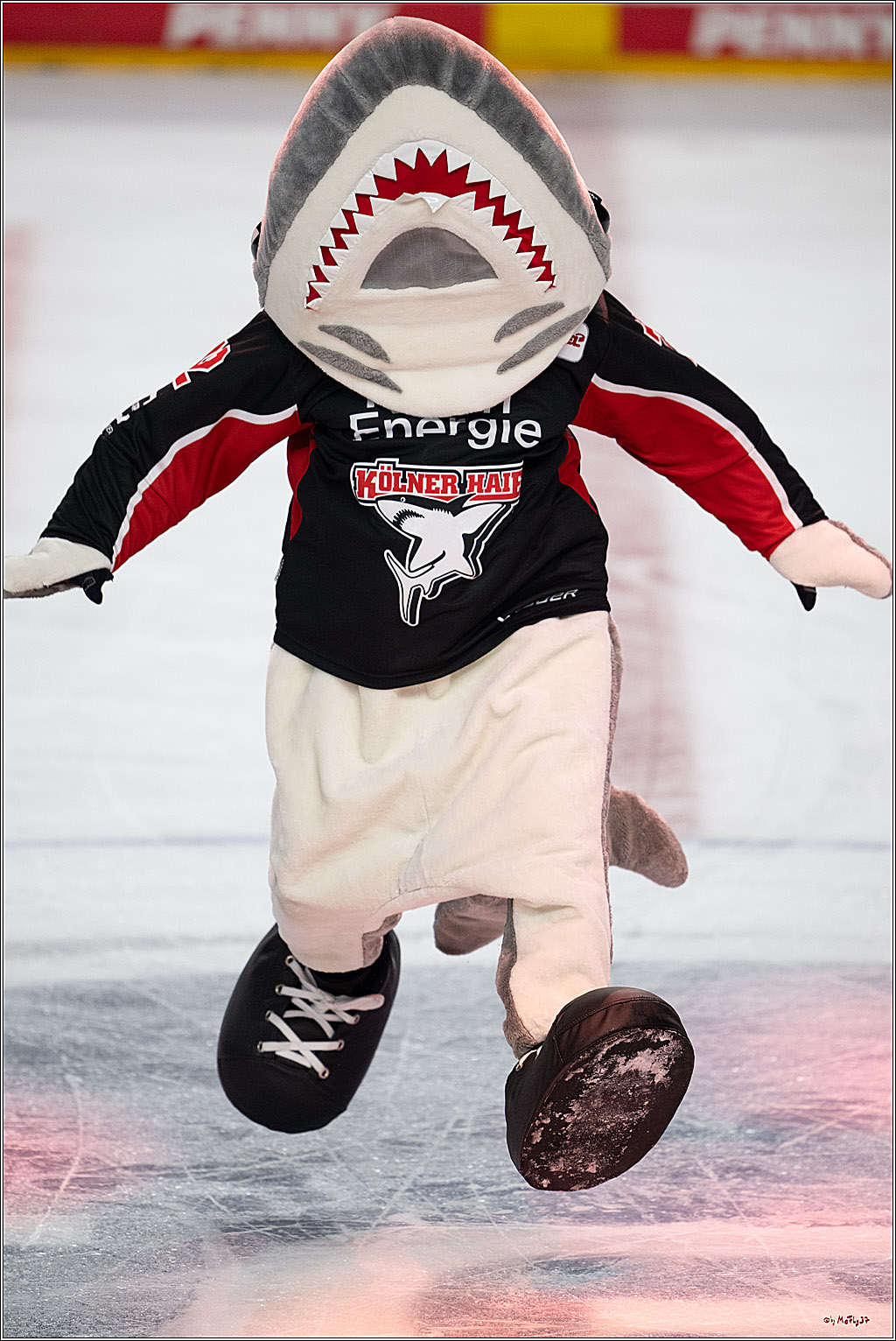 PENNY DEL 1; Kölner Haie - Düsseldorfer EG ; Köln, 24.11.2024