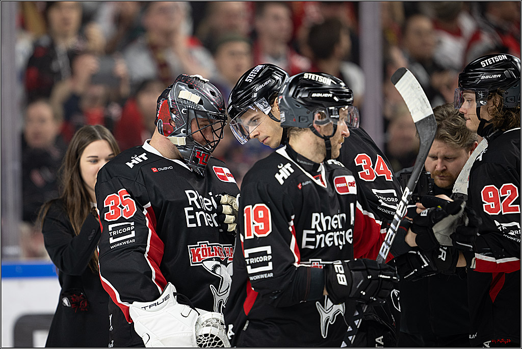 PENNY DEL 1; Kölner Haie - Düsseldorfer EG ; Köln, 24.11.2024