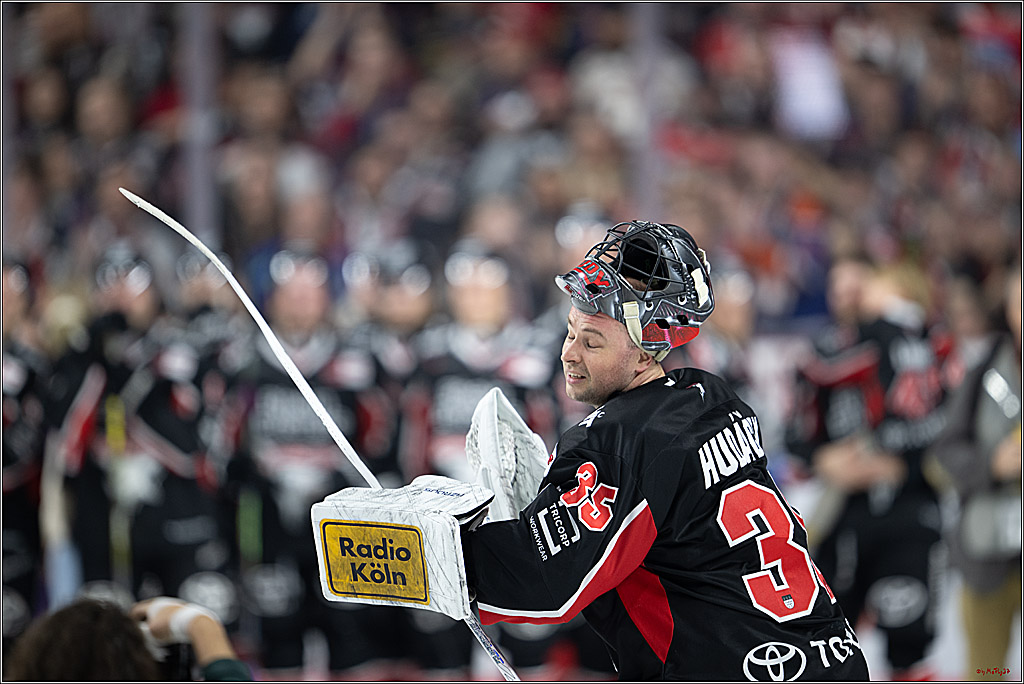PENNY DEL 1; Kölner Haie - Düsseldorfer EG ; Köln, 24.11.2024