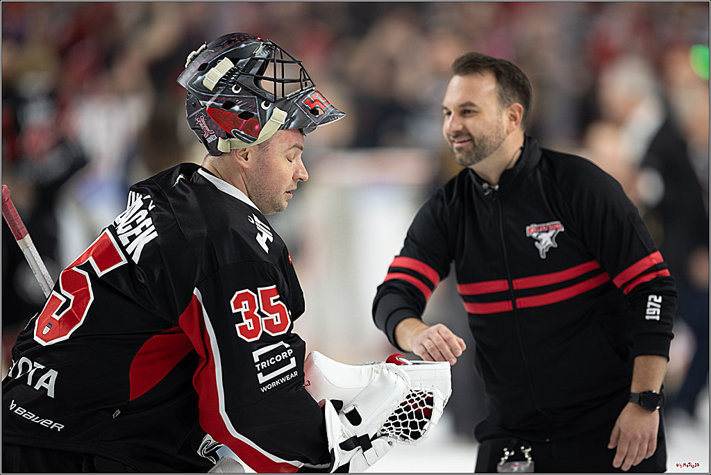 PENNY DEL 1; Kölner Haie - Düsseldorfer EG ; Köln, 24.11.2024