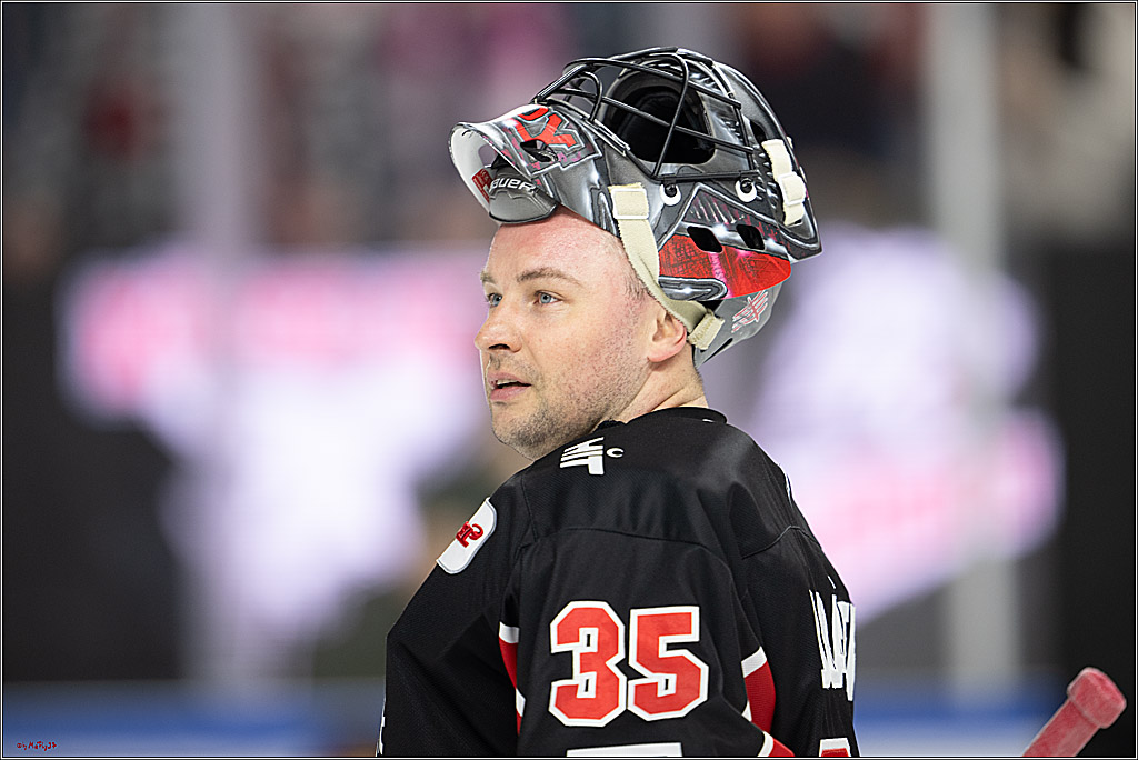 PENNY DEL 1; Kölner Haie - Düsseldorfer EG ; Köln, 24.11.2024