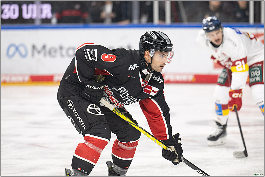 PENNY DEL; Koelner Haie-Duesseldorfer EG; Koeln, 24.11.2024