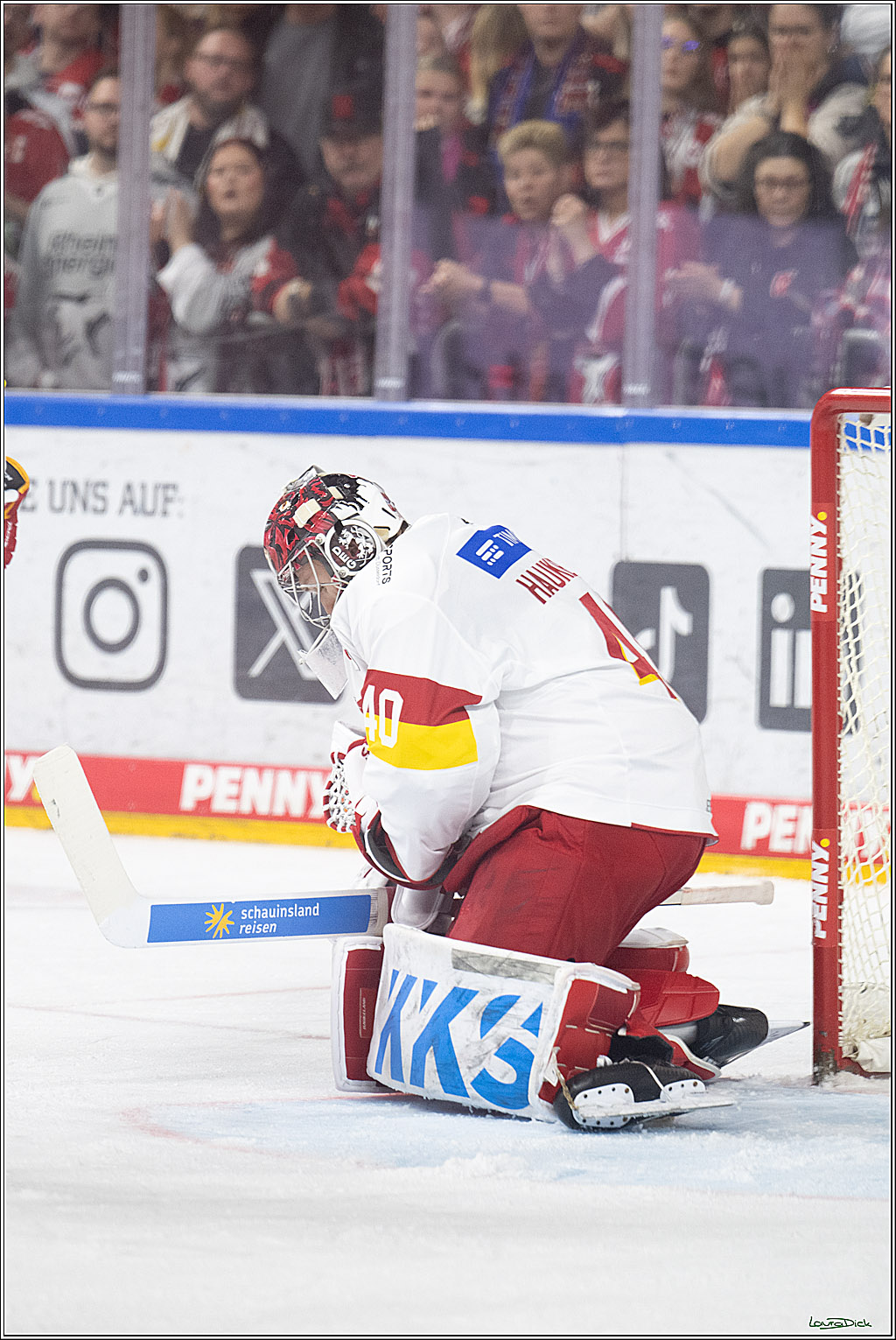 PENNY DEL; Koelner Haie-Duesseldorfer EG; Koeln, 24.11.2024