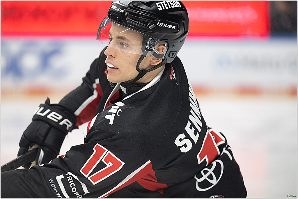PENNY DEL; Koelner Haie-Duesseldorfer EG; Koeln, 24.11.2024