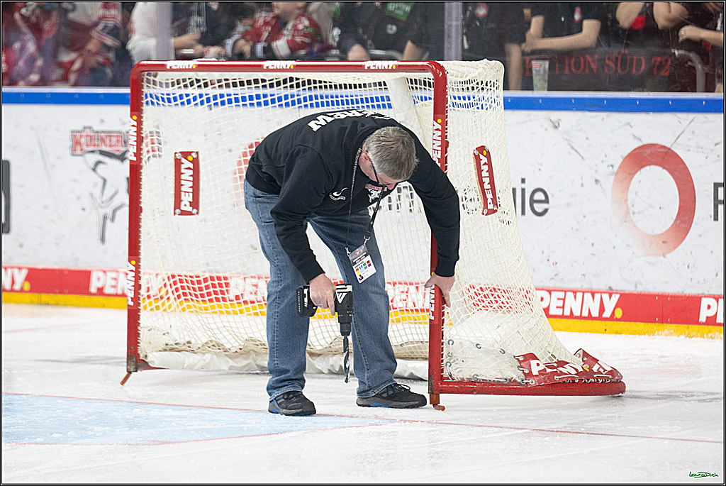 PENNY DEL; Koelner Haie-Duesseldorfer EG; Koeln, 24.11.2024