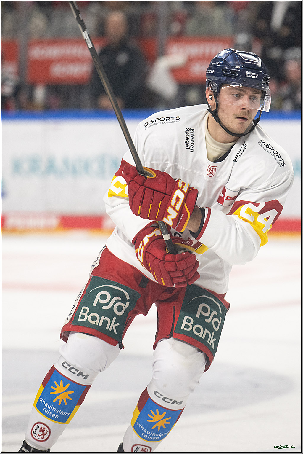 PENNY DEL; Koelner Haie-Duesseldorfer EG; Koeln, 24.11.2024