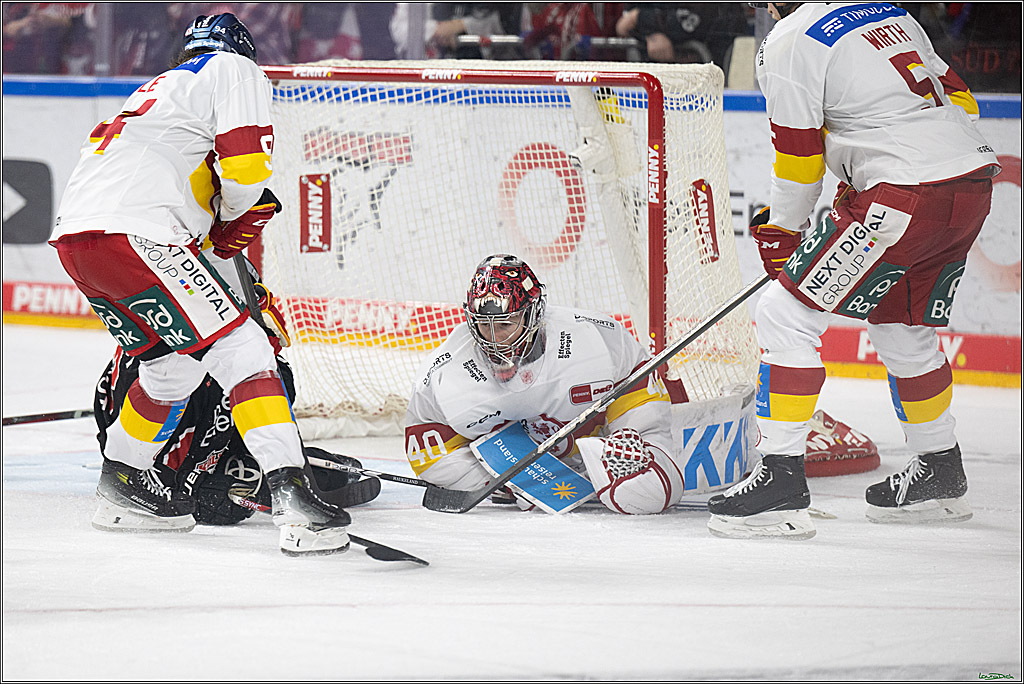 PENNY DEL; Koelner Haie-Duesseldorfer EG; Koeln, 24.11.2024