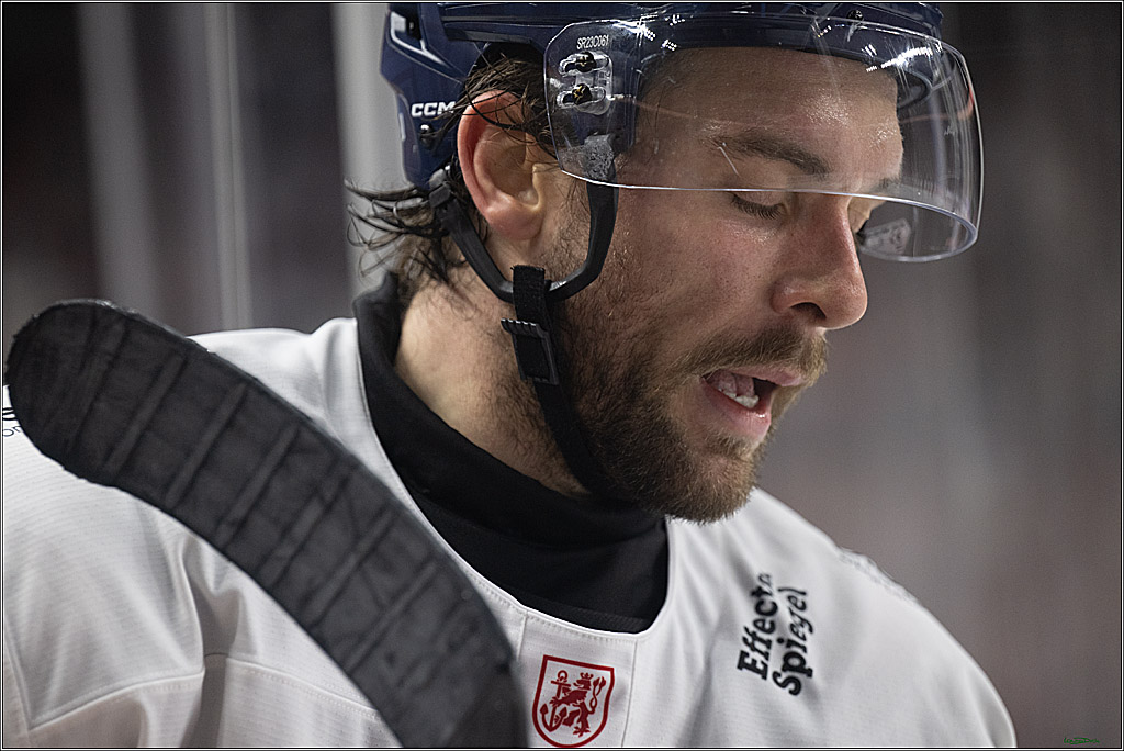 PENNY DEL; Koelner Haie-Duesseldorfer EG; Koeln, 24.11.2024