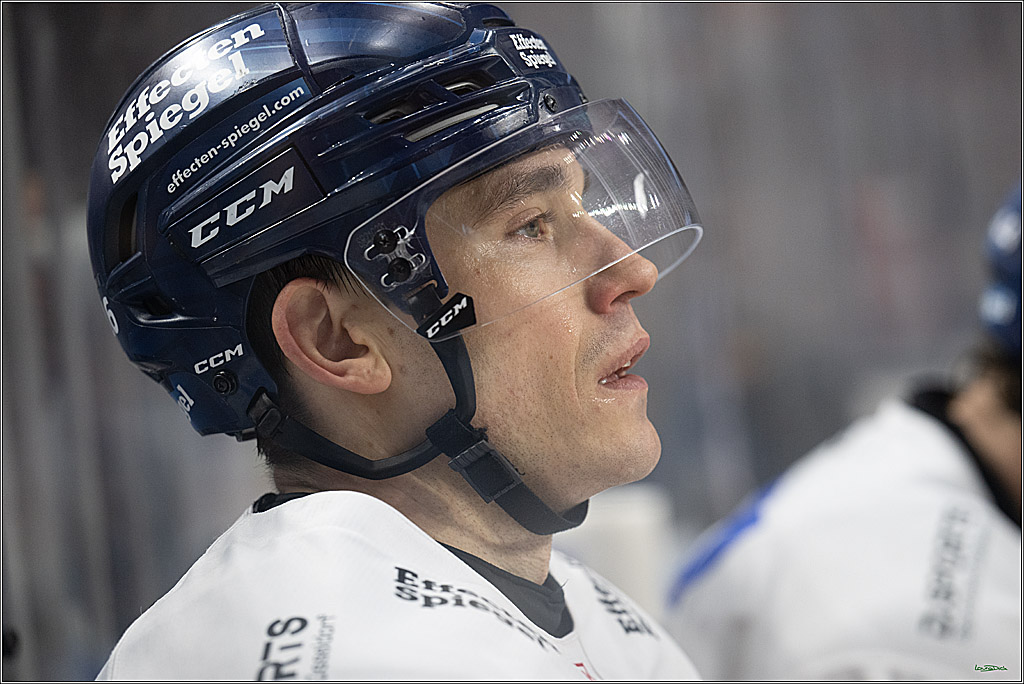 PENNY DEL; Koelner Haie-Duesseldorfer EG; Koeln, 24.11.2024