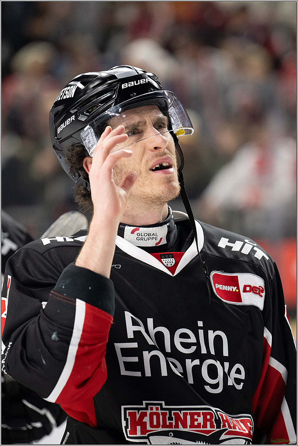PENNY DEL; Koelner Haie-Duesseldorfer EG; Koeln, 24.11.2024