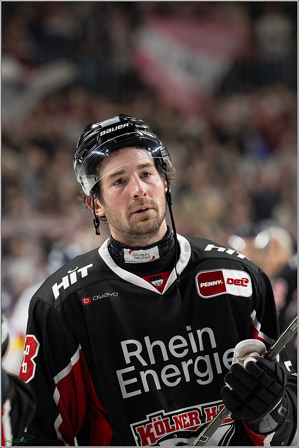 PENNY DEL; Koelner Haie-Duesseldorfer EG; Koeln, 24.11.2024