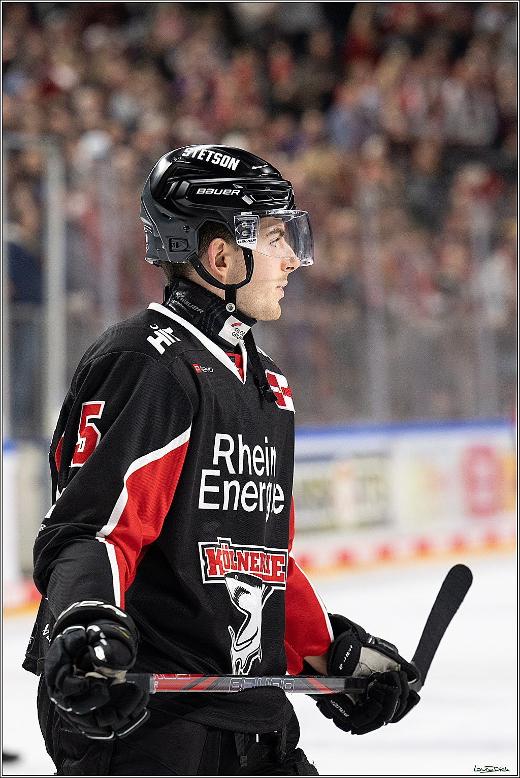 PENNY DEL; Koelner Haie-Duesseldorfer EG; Koeln, 24.11.2024