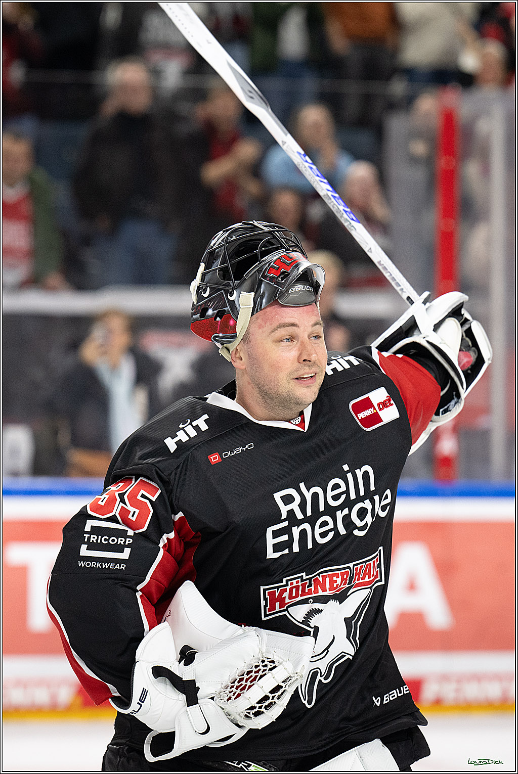 PENNY DEL; Koelner Haie-Duesseldorfer EG; Koeln, 24.11.2024