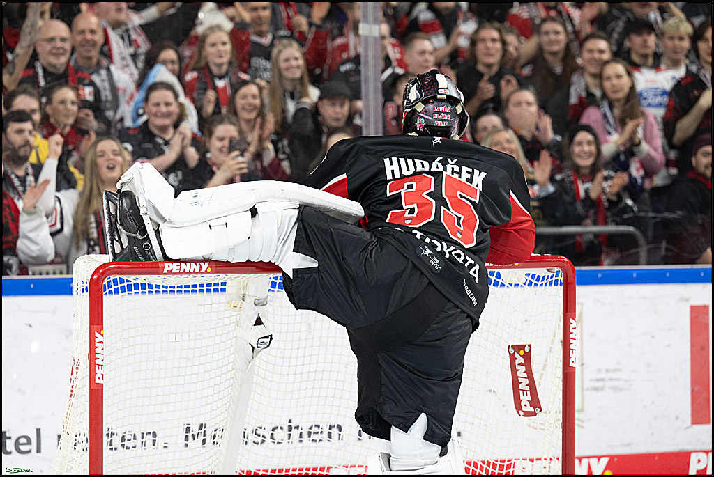 PENNY DEL; Koelner Haie-Duesseldorfer EG; Koeln, 24.11.2024
