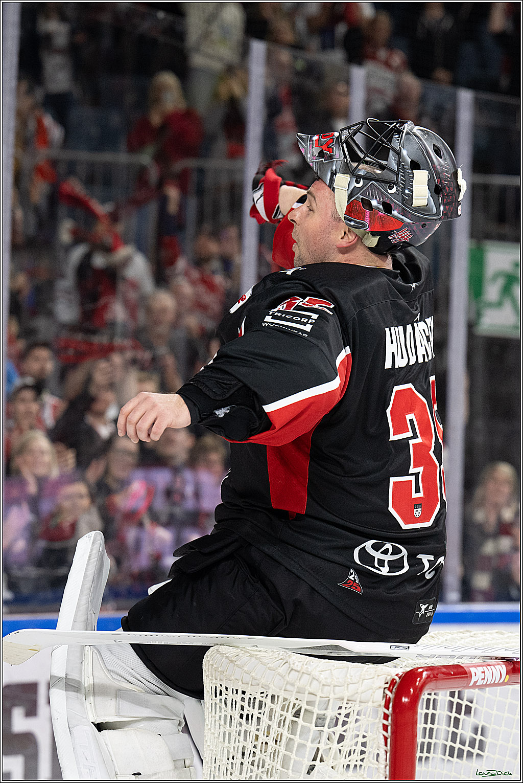 PENNY DEL; Koelner Haie-Duesseldorfer EG; Koeln, 24.11.2024